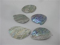 Five Abalone Shells