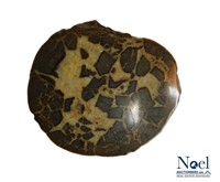 Septarian Dragon Nodule Geod