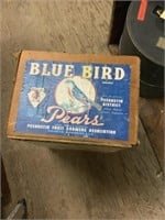 Wooden bluebird pear box