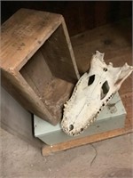 Metal lock box, wooden box
Half an alligator