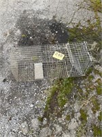 Live animal trap