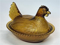 Amber Hen on Nest