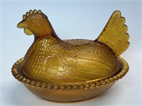 Amber Hen on Nest