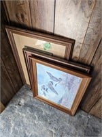 3 Water fowl framed pictures
