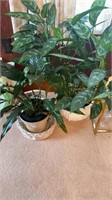 2 houseplants in planters