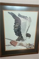 Red tail Hawk numbered print 627 of 1000 by Fene