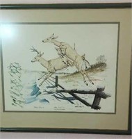 White tailed deer print by Gene Gray numbered 955