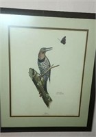 Flicker bird print by Ray Harm approx size is 21