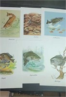 Group of 6 fish prints