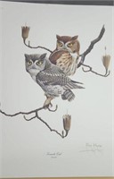 Screech Owl signed print by Ray Harm approx 16 x