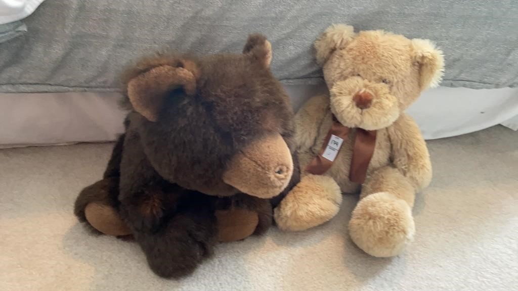 Stuffed Teddy Bears- lot of 2