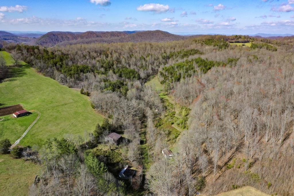 Court Ordered Auction 43.5 Acres +/- Washburn, TN