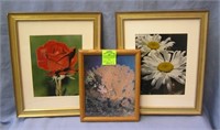 Group of three matted and framed prints
