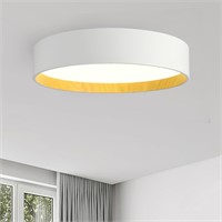 15.8" Modern LED Ceiling Light