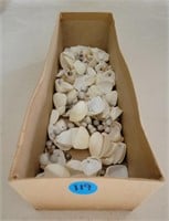 Box Of Shells/Necklaces