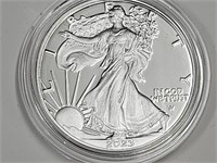 2023 American Eagle One Ounce Silver Proof Coin