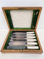 6 Pearl Handled Silver Plate Dinner Knives & Union