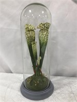 19IN NEPENTHES FLOWER WITH GLASS COVER- GREEN