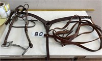 Leather Breast Collar, Bridle and Reins