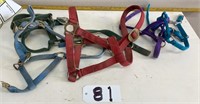(5) Halters (2 pony, 2 miniatures and 1 large)