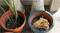 2 large clay pots, one is painted blue.