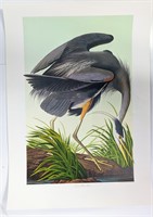 John Audubon " The Great Blue Heron" Master Print