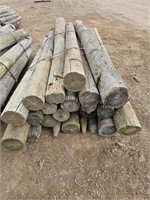 Treated Fence Posts