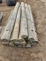 Treated Fence Posts