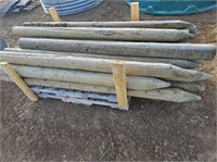 (18) Treated Fence Posts