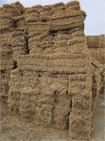 (4-Ton) Small Square Bales Alfalfa Hay