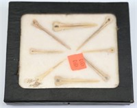 8 Native American Bone carved needles in Glass