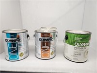 Misc. Olympic Paint