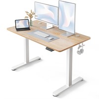 FEZIBO Electric Standing Desk, 48 x 24 Inches Hei