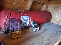 Everlast Heavy Punching Bag with Gloves