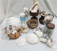 Wooden Pedestal Bowl, Variety Of Sea Shells