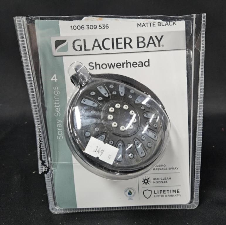Glacier Bay Showerhead