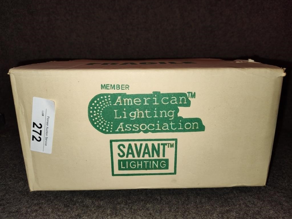 Savant Lighting Fixture