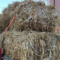 11 small square bales straw - SOLD AS 1 LOT