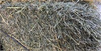 14 small square bales of hay - SOLD AS 1 LOT