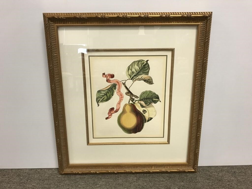 Beautifully framed print of a pear