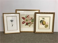 3 Re-framed decorative prints