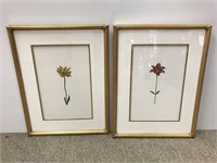 Pair beautifully framed botanical prints
