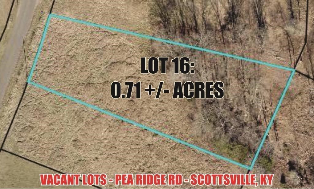 LAND TRACT AUCTION- MULTIPLE LOTS