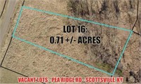 Lot 16: 0.71 +/- acre lot on Pea Ridge Road