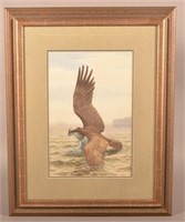 Earl Poole Osprey Wildlife Watercolor Painting.