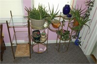 Brass Shelves & Live Plants / Cactus