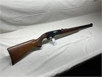 winchester 290 22cal