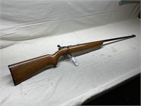 remington 510 targetmaster 22cal