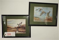 (2) Framed prints of waterfowl to include: