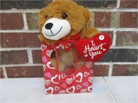 Teddy Bear in Valentines Bag